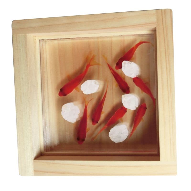 アクリルアート 金魚 桜 プリザーブドフラワー さくら