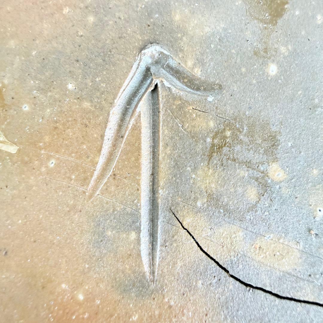 【人間国宝級】信楽焼 五代 上田直方 大壺 矢印銘 滋賀県無形文化財 自然釉