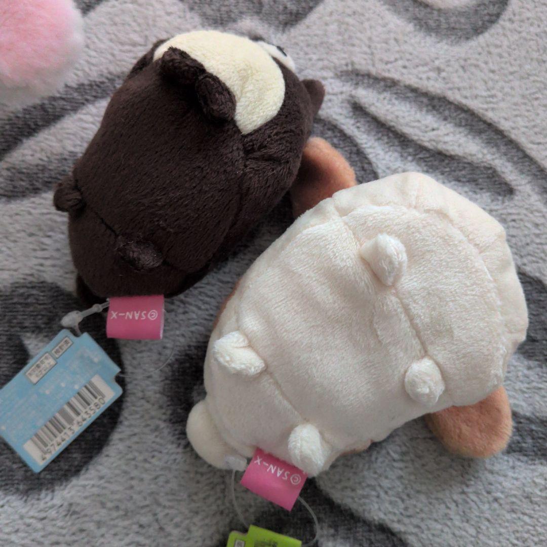 サンエックス　もふたんず　ぬいぐるみ