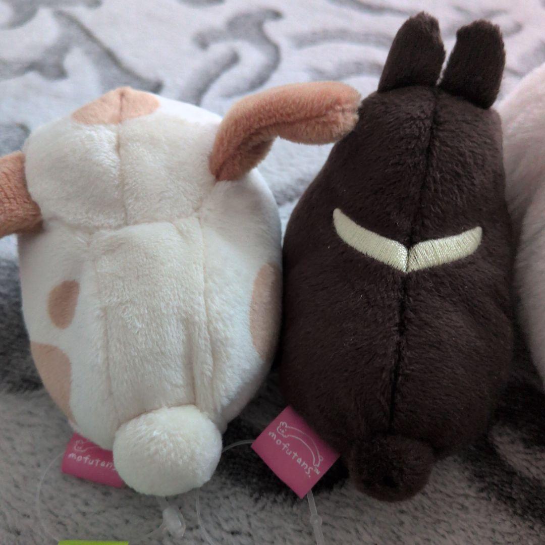 サンエックス　もふたんず　ぬいぐるみ