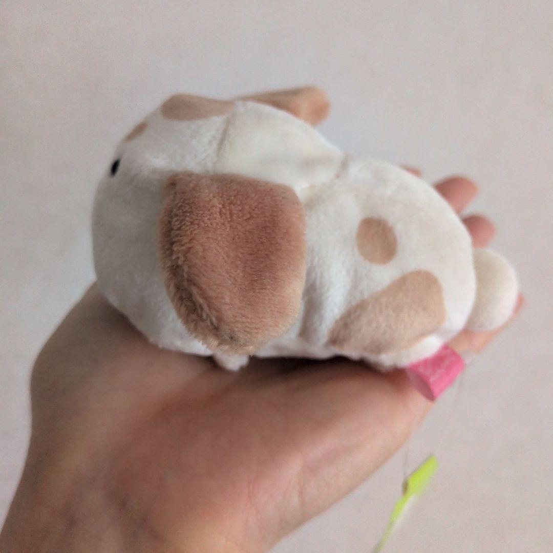 サンエックス　もふたんず　ぬいぐるみ