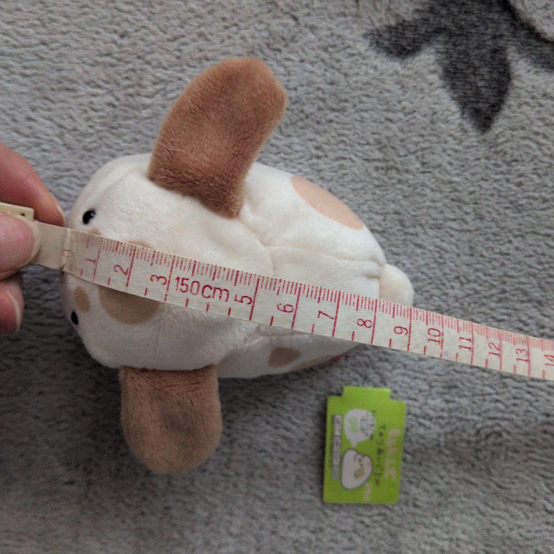 サンエックス　もふたんず　ぬいぐるみ