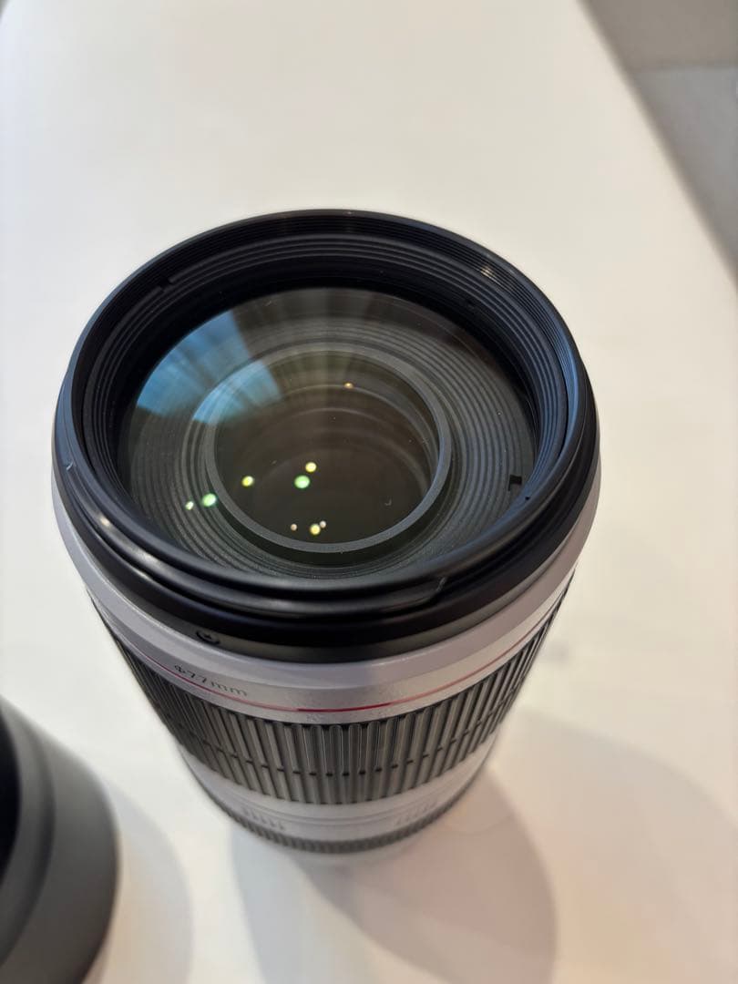 キヤノン EF100-400mm F4.5-5.6L IS II USM