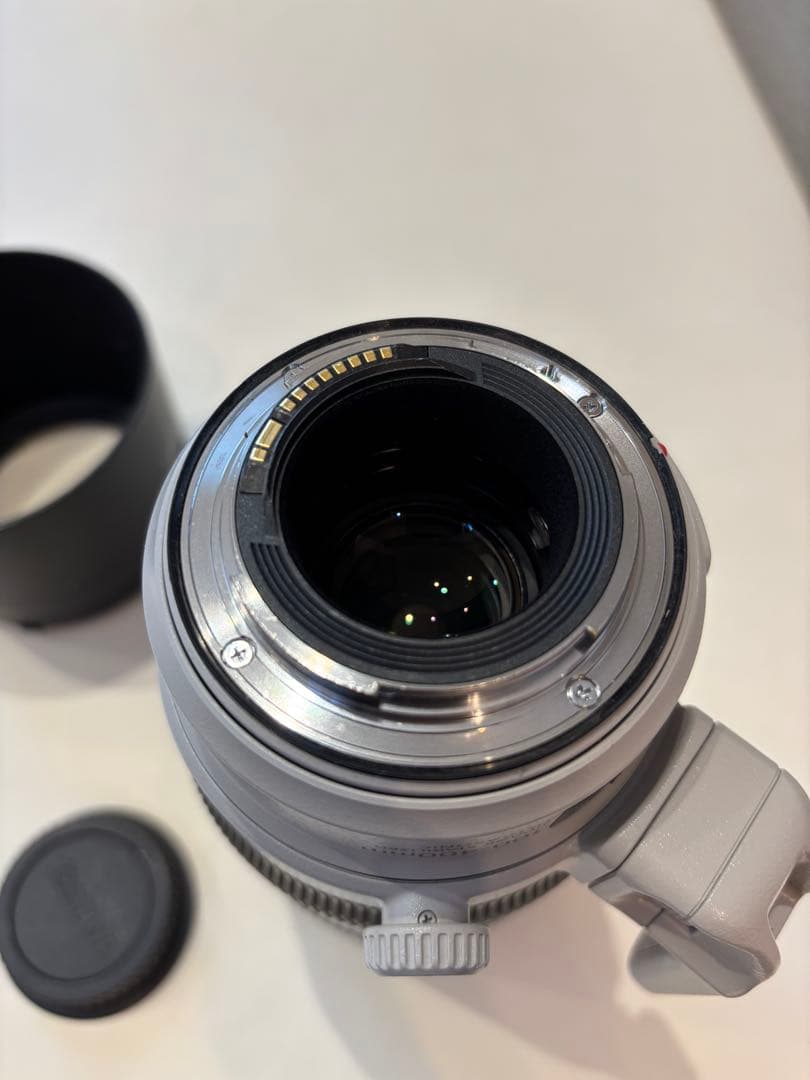 キヤノン EF100-400mm F4.5-5.6L IS II USM