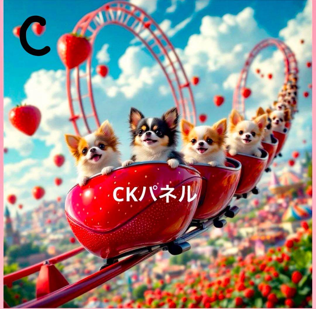 ななちゃん様　オーダーページ　1/18
