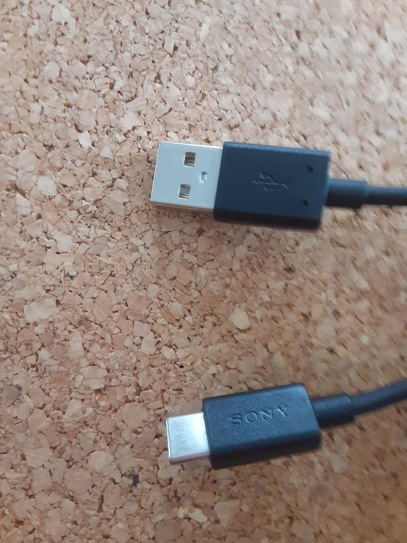 SONY WF-1000XM4 ワイヤレス イヤホン