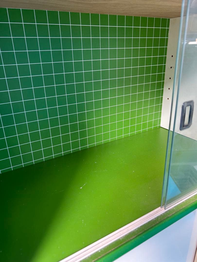 Osumou【期間限定販売￼】昭和レトロポップ　グリーン