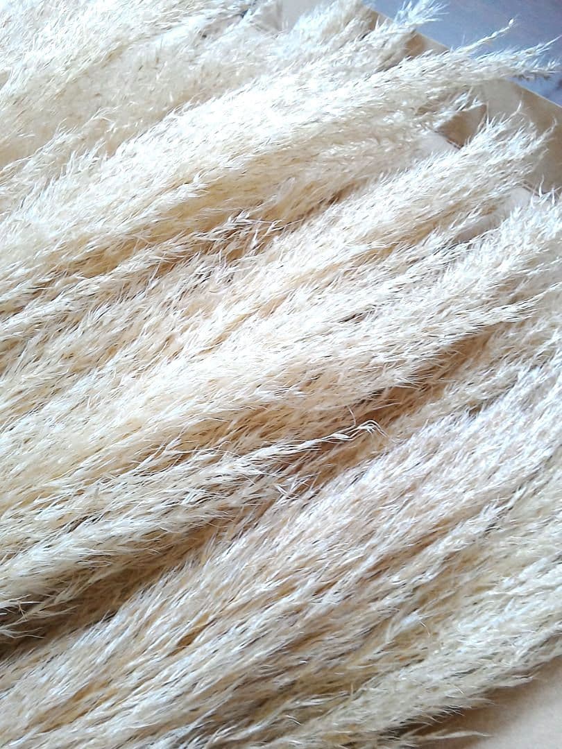 No.2605 サラサラタイプパンパスグラス小分け 15本 ドライフラワー