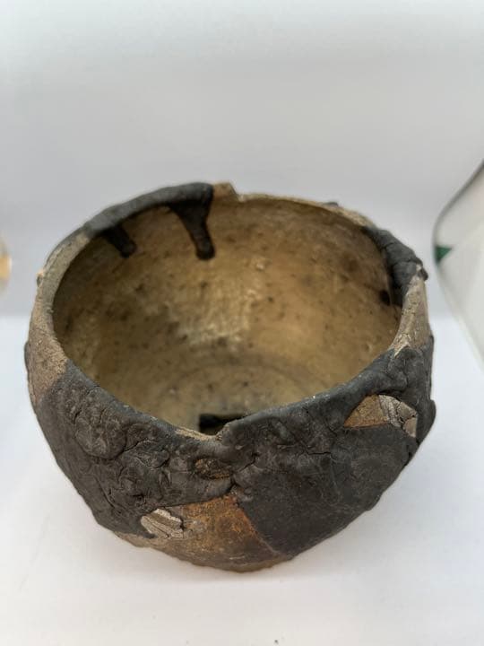 Progress Bowl Pot M 植木鉢　コーデックス