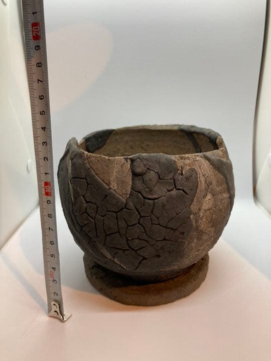 Progress Bowl Pot M 植木鉢　コーデックス