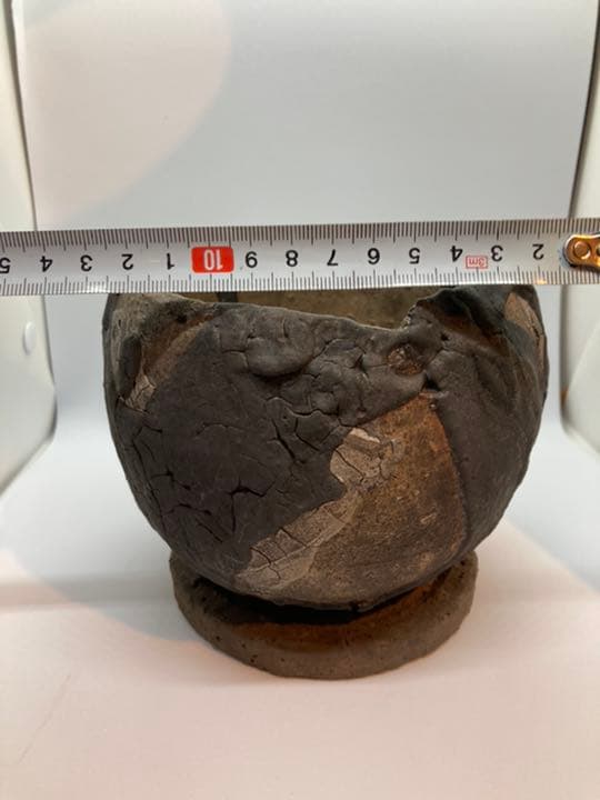 Progress Bowl Pot M 植木鉢　コーデックス