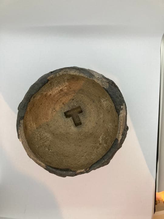 Progress Bowl Pot M 植木鉢　コーデックス