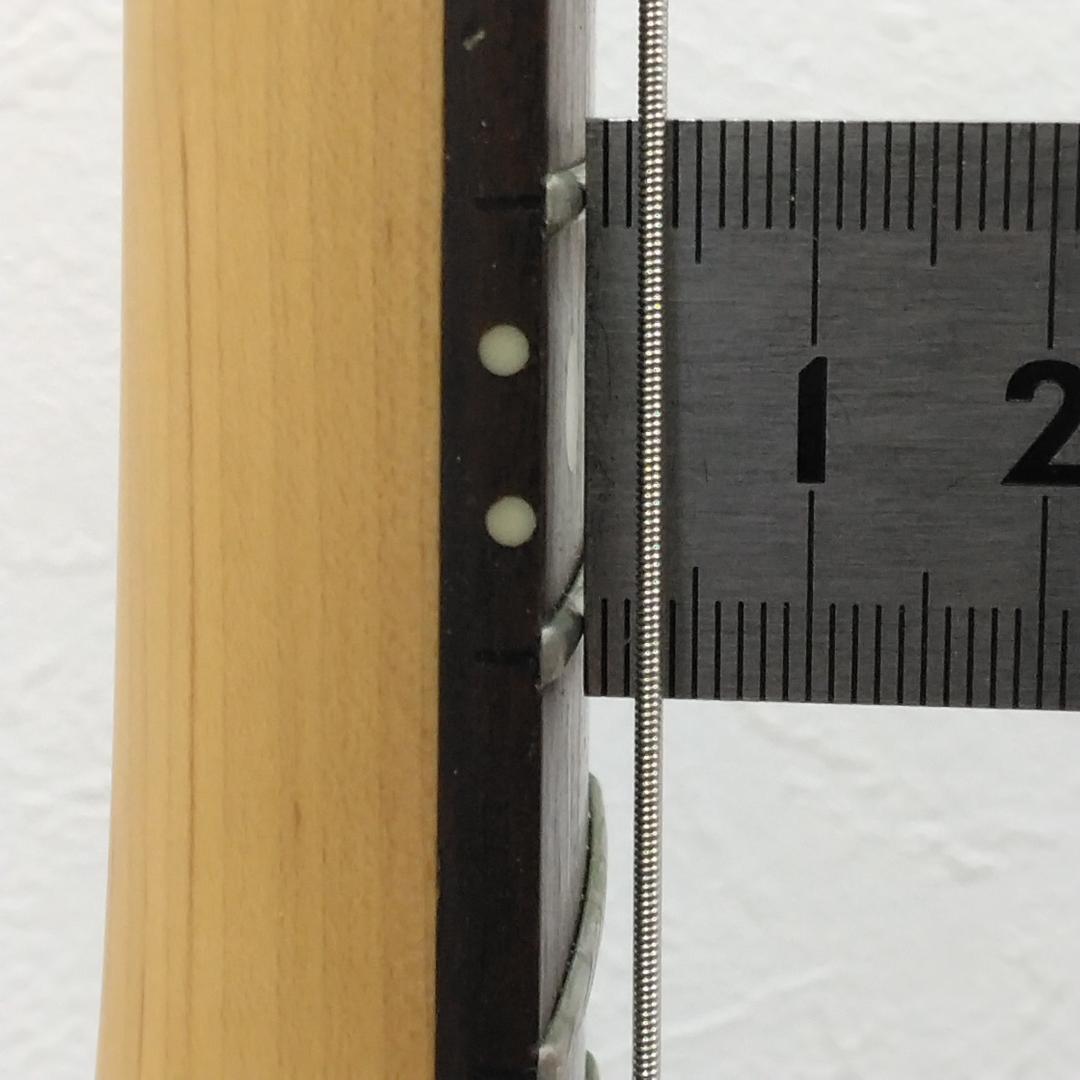 Bacchus ラメブラック テレキャスター 中古現状品