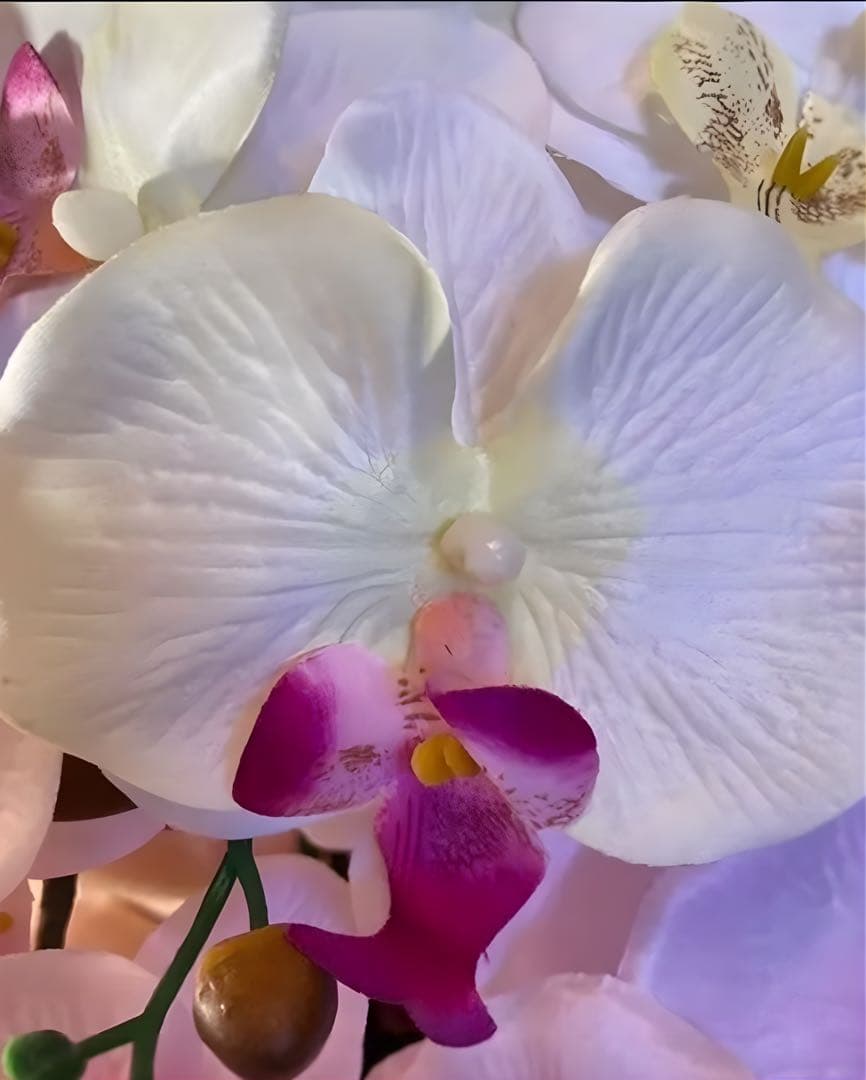 光触媒　人工観葉植物　ウォールグリーン　フェイクグリーン　7本胡蝶蘭6943@@