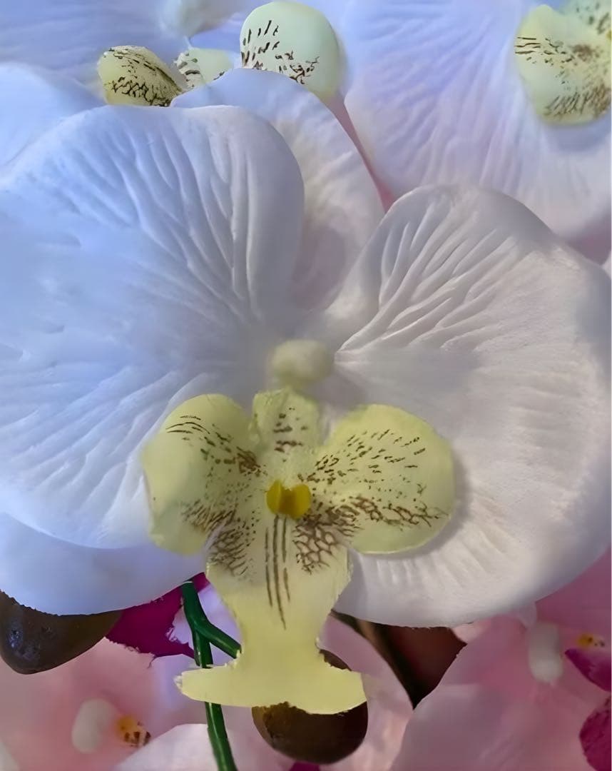 光触媒　人工観葉植物　ウォールグリーン　フェイクグリーン　7本胡蝶蘭6943@@