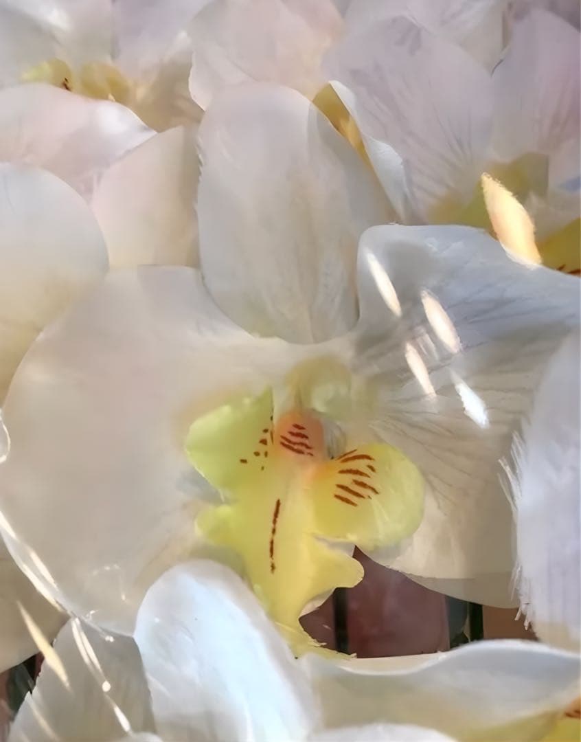 光触媒　人工観葉植物　ウォールグリーン　フェイクグリーン　7本胡蝶蘭6943@@