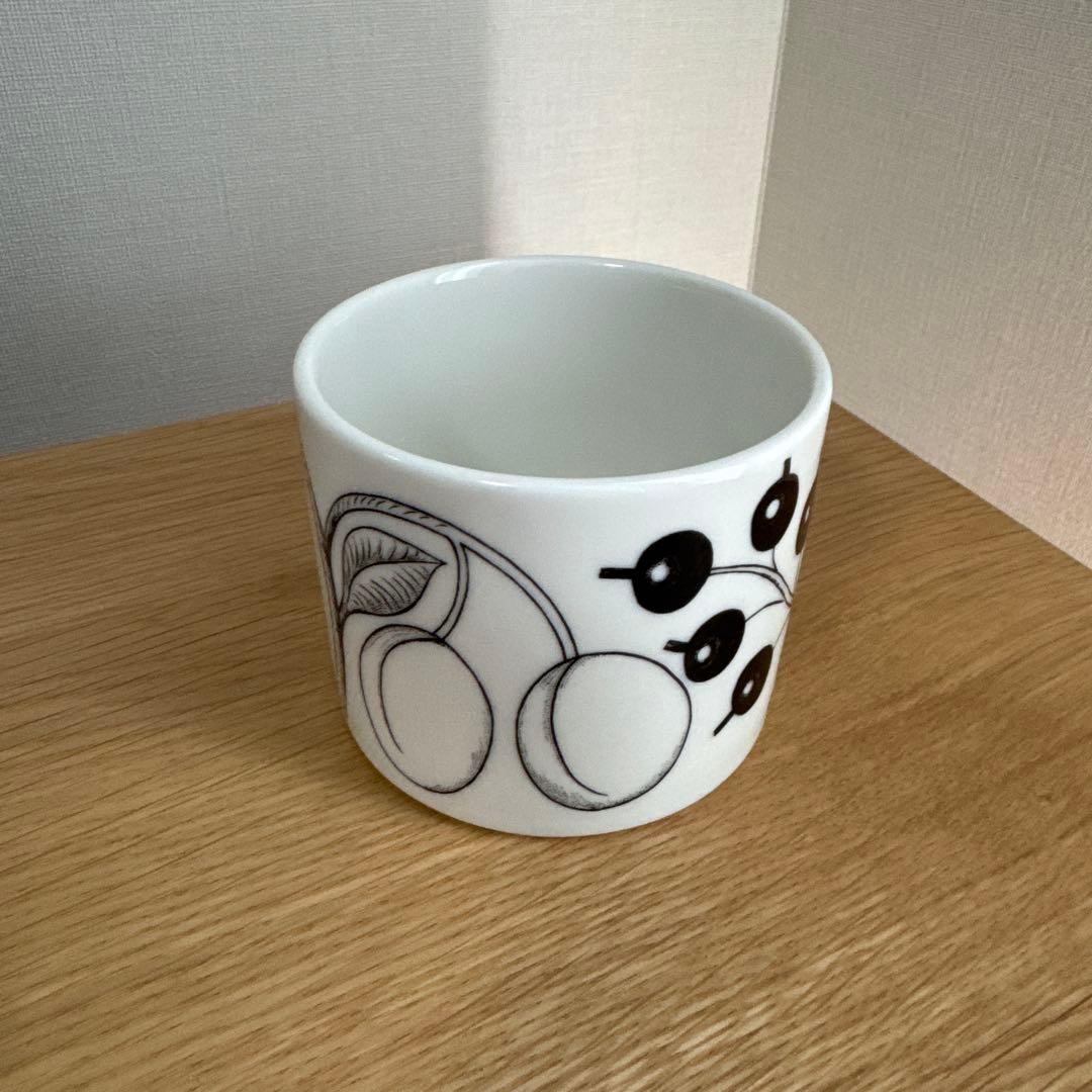 ARABIA Paratiisi C&S+15cmボウル+21cm皿 4点セット