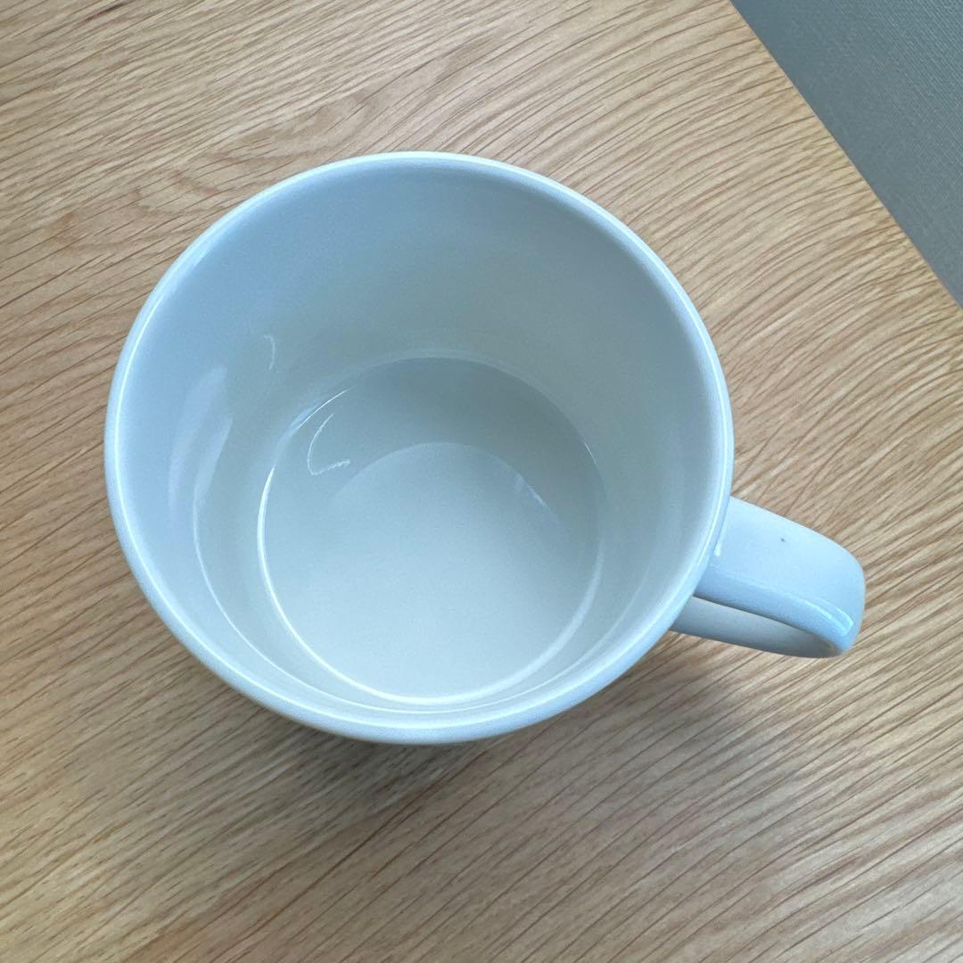 ARABIA Paratiisi C&S+15cmボウル+21cm皿 4点セット