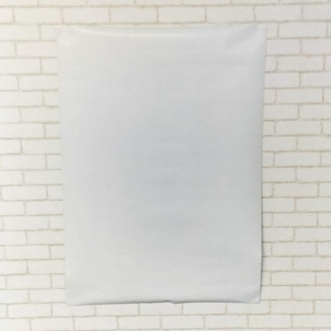 当時物 ポケモン バンプレキャラポスター No2.4.5 初代 金銀 B2