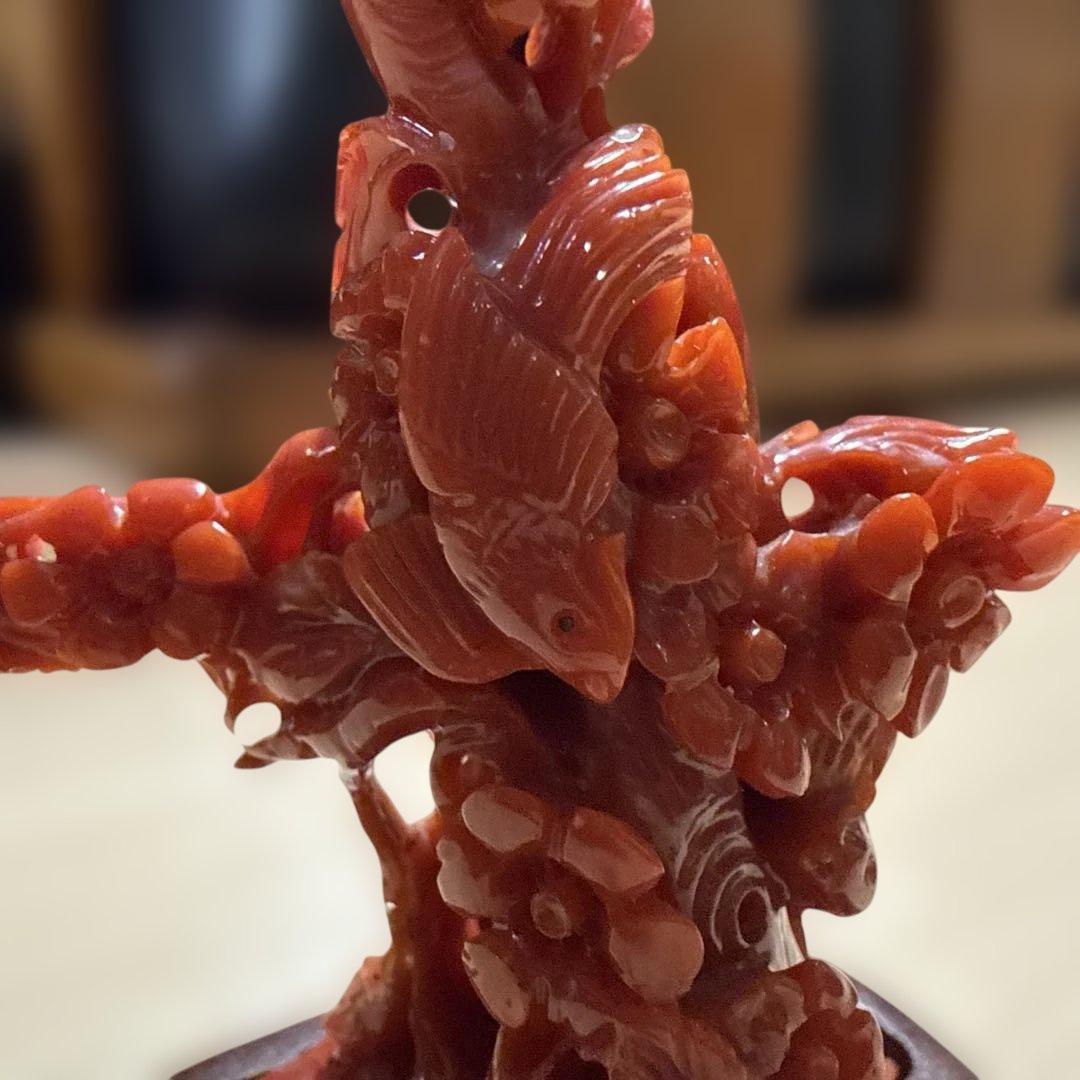 本赤珊瑚　極上の赤　118.5g/高さ約10㎝
