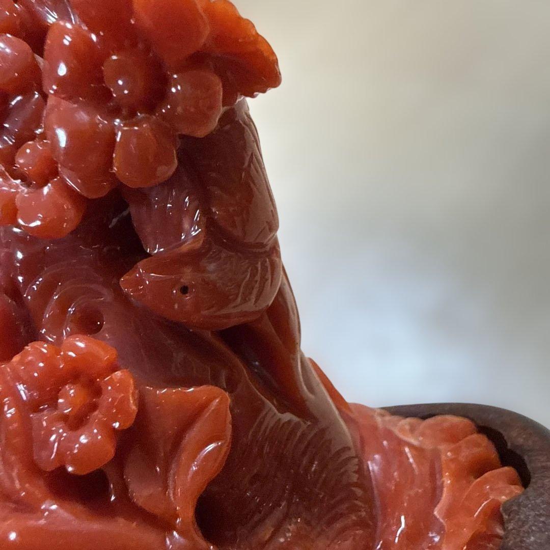 本赤珊瑚　極上の赤　118.5g/高さ約10㎝