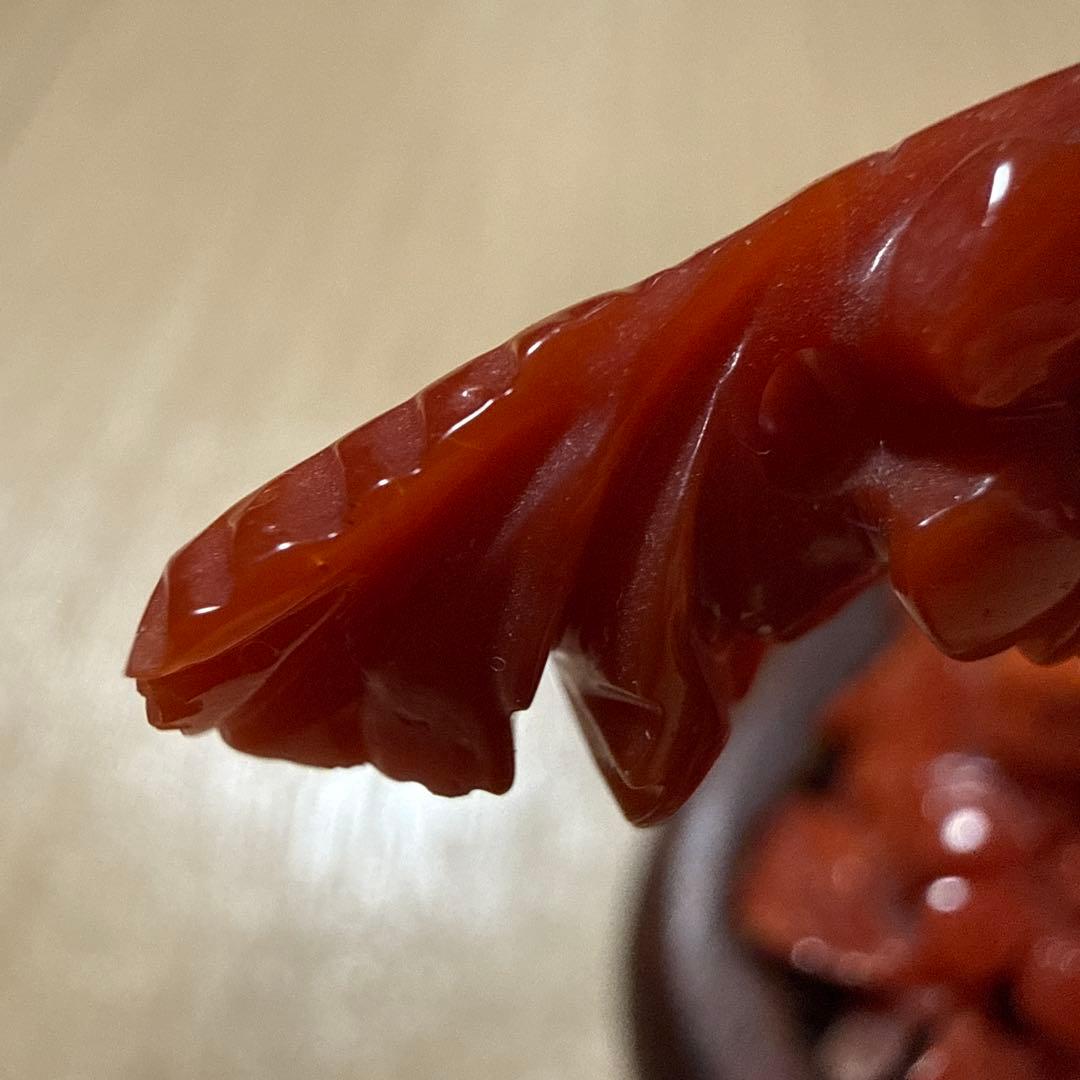 本赤珊瑚　極上の赤　118.5g/高さ約10㎝