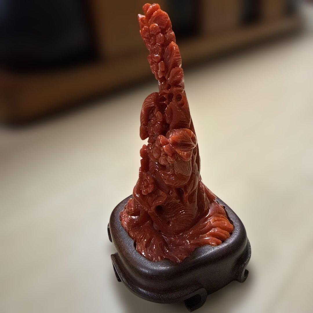 本赤珊瑚　極上の赤　118.5g/高さ約10㎝