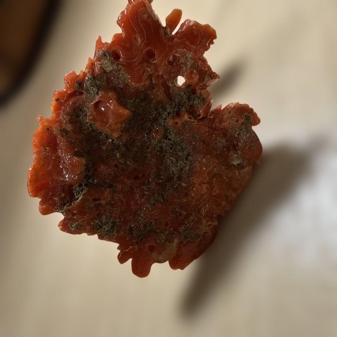 本赤珊瑚　極上の赤　118.5g/高さ約10㎝
