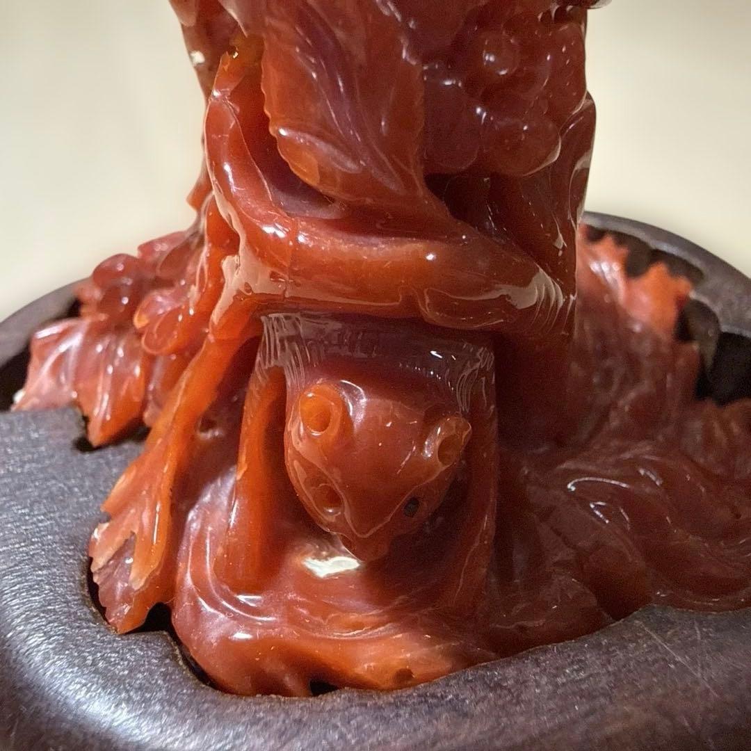 本赤珊瑚　極上の赤　118.5g/高さ約10㎝