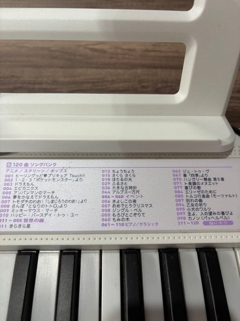 CASIO LK-315 光ナビゲーションキーボード 電子ピアノ