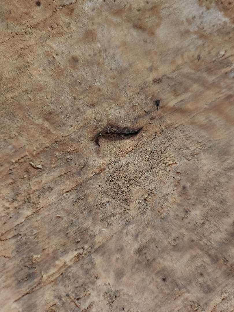 ユニークな木製置物　アンティーク