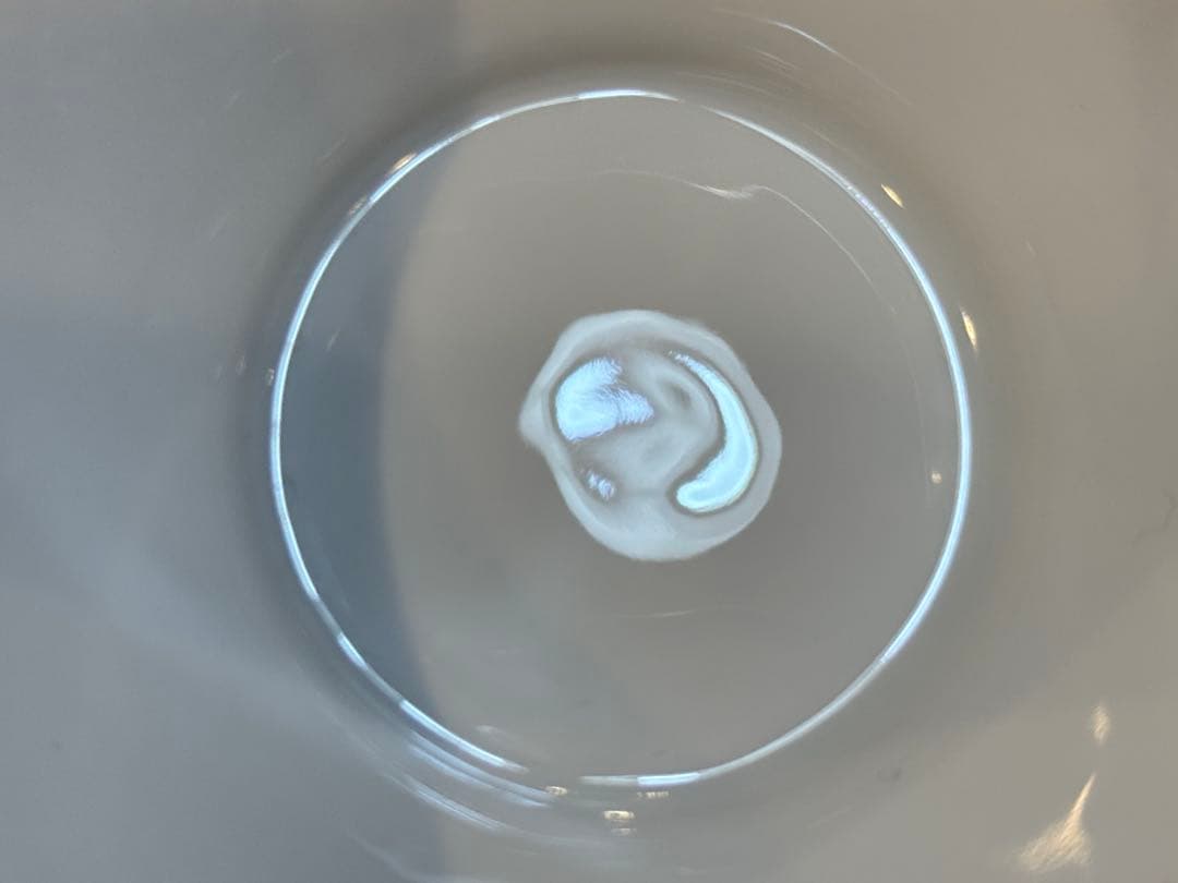 2A8093【フッチェンロイター】メドレー パークレーン スープボウル 2個