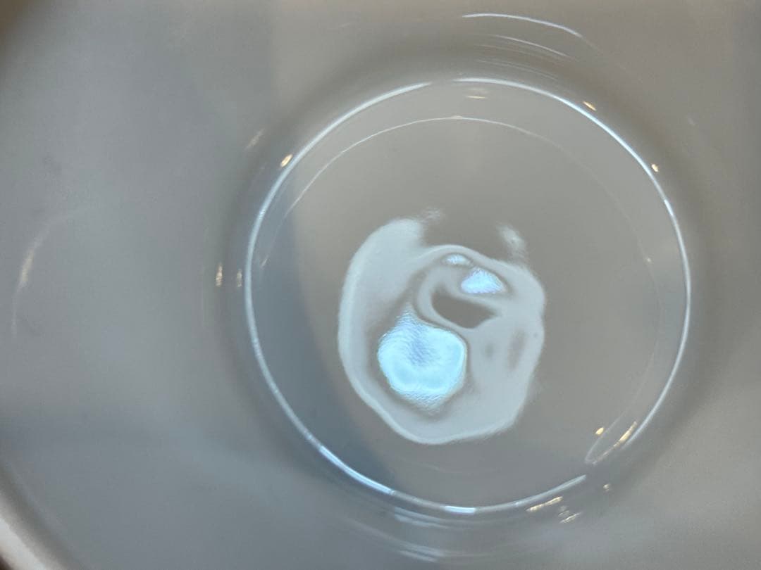 2A8093【フッチェンロイター】メドレー パークレーン スープボウル 2個