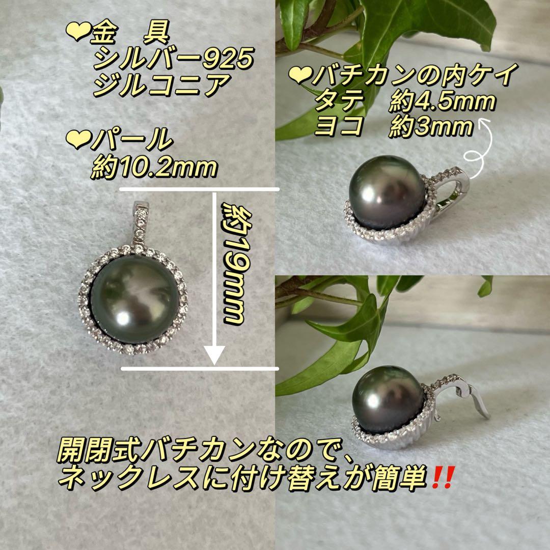 黒蝶真珠ペンダントトップ　海水ネックレストップ　ダークグリーン系　10.2mm