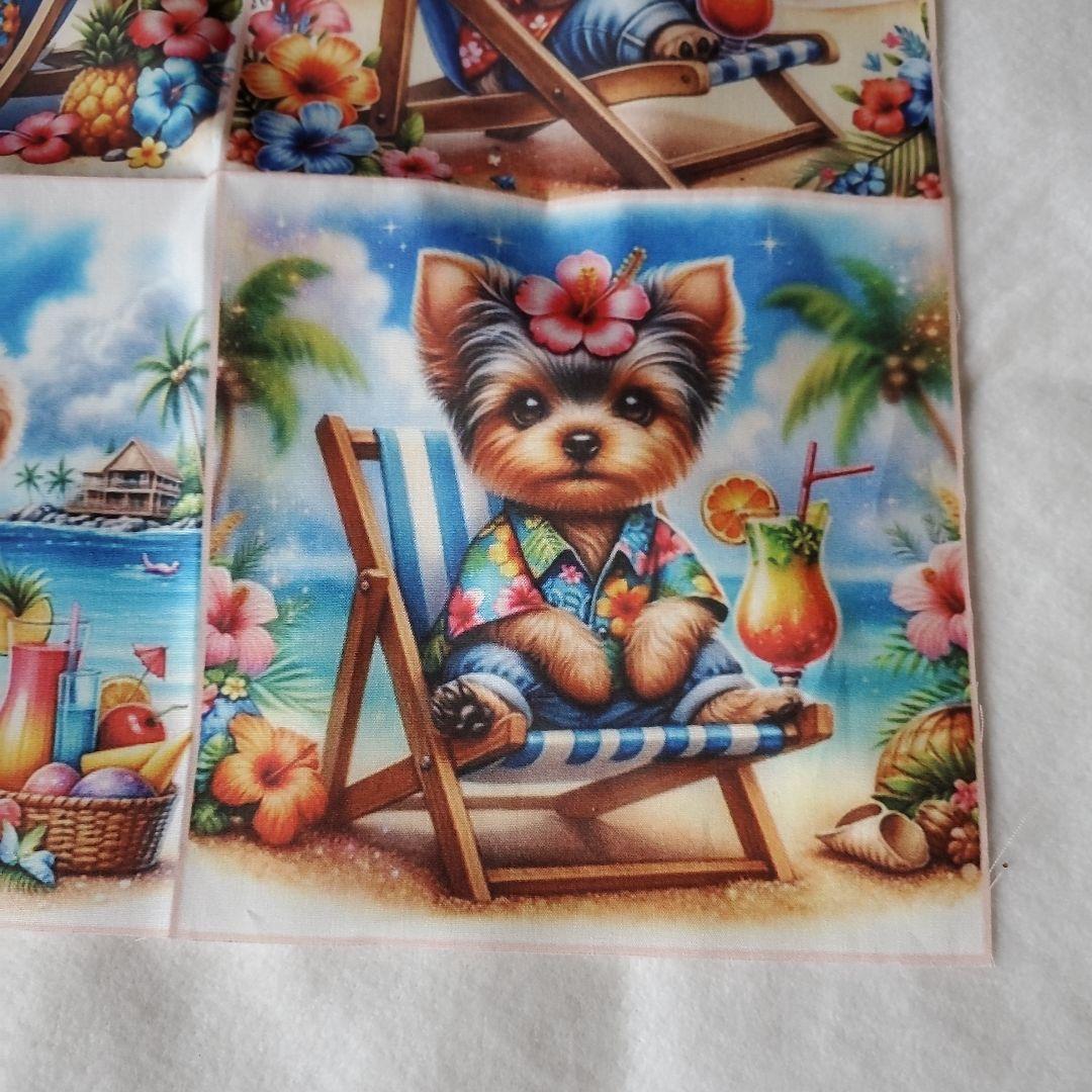 TKG　ヨーキ、トイプーちゃん