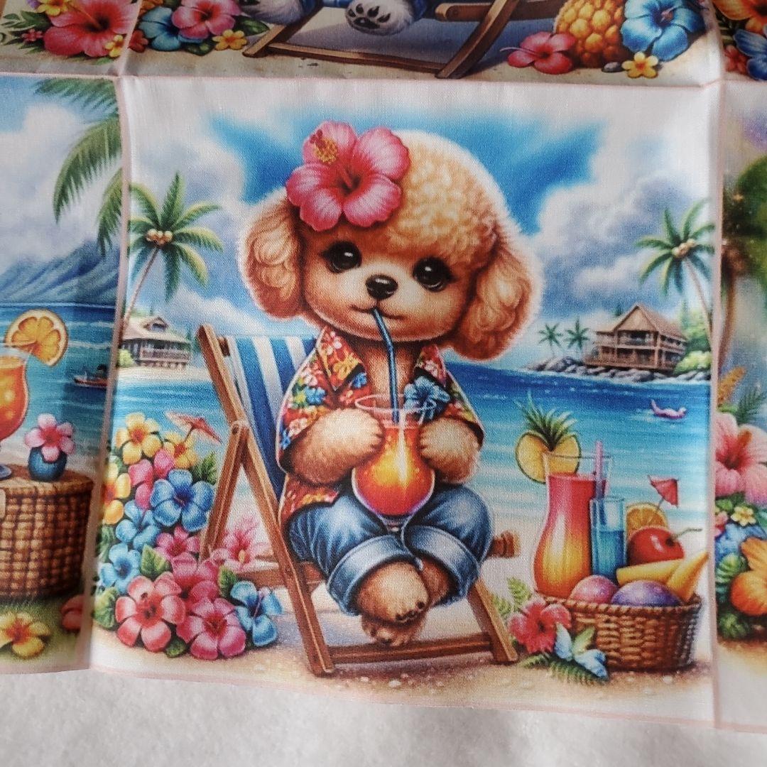 TKG　ヨーキ、トイプーちゃん