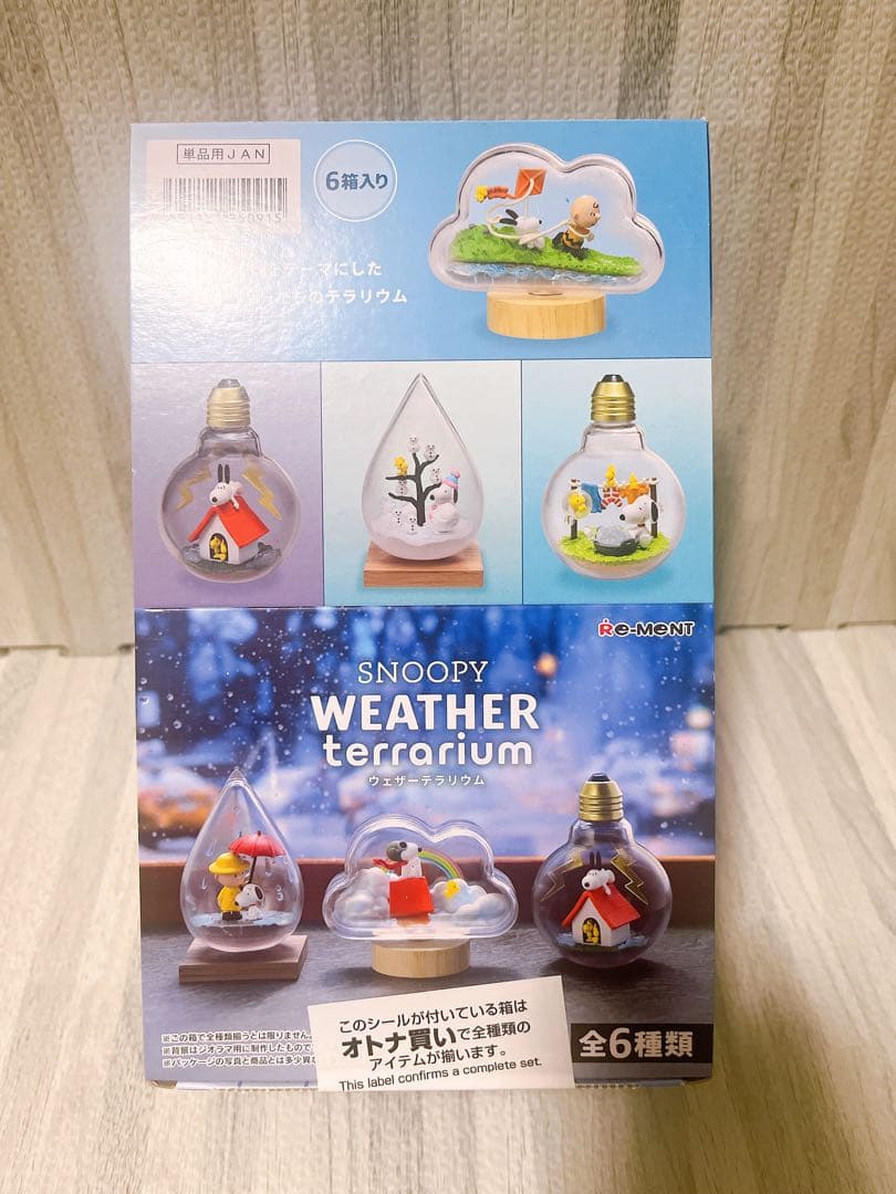 SNOOPY WEATHER terrarium 6個セット