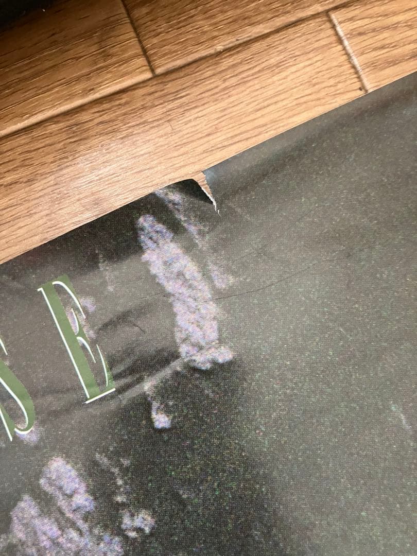 【非売品】中森明菜 アルバム『CRUISE』告知ポスター ワーナー 希少 当時物