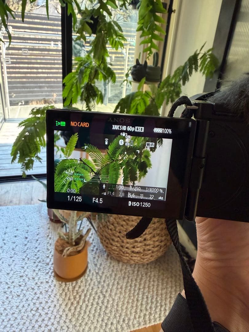 値下げ!!SONY VLOGCAM ZV-E10L