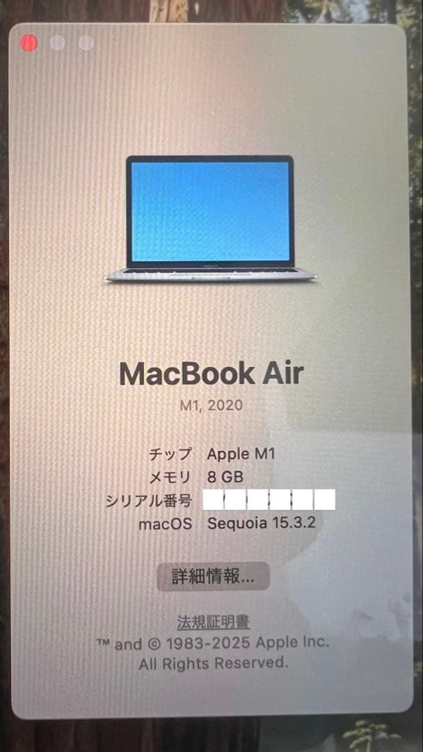 【充放電回数14回】Apple MacBook Air (M1, 2020)