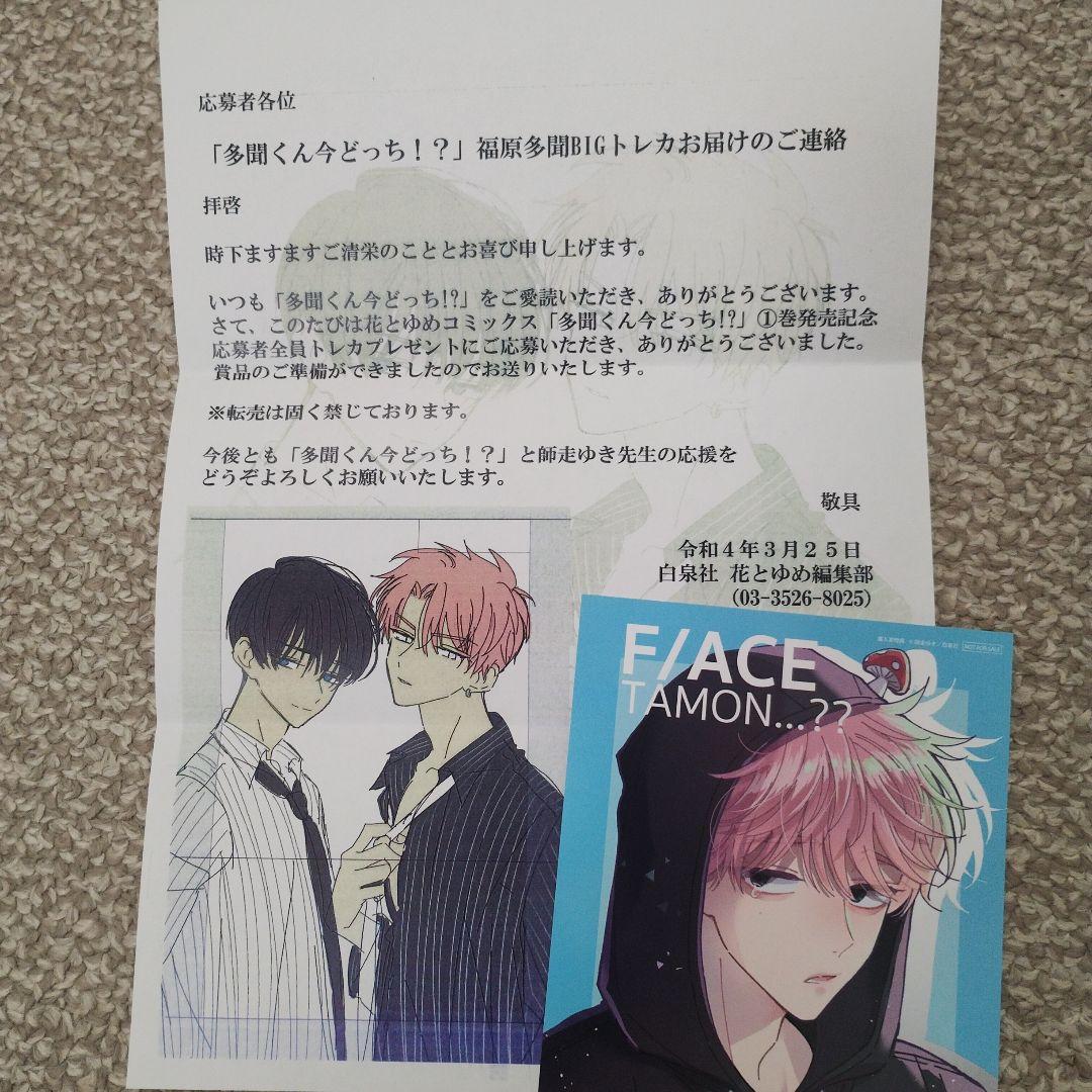 多聞くん今どっち　販促品　当選品　付録