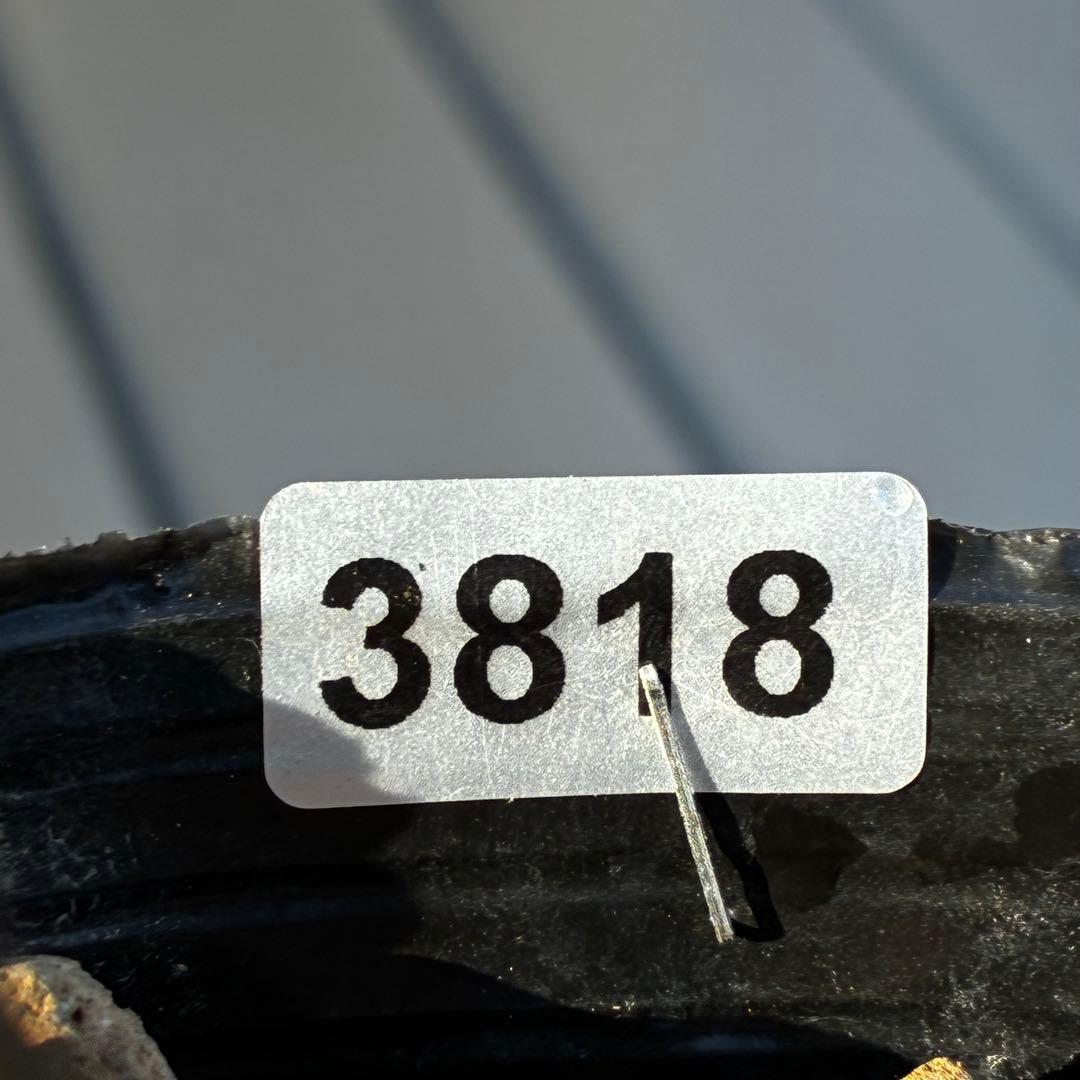 3818☘️超希少☘️プチドール⭐️小輪⭐️凄ツヤ⭐️￼フラッシュベイン⭐️コンパクト⭐️