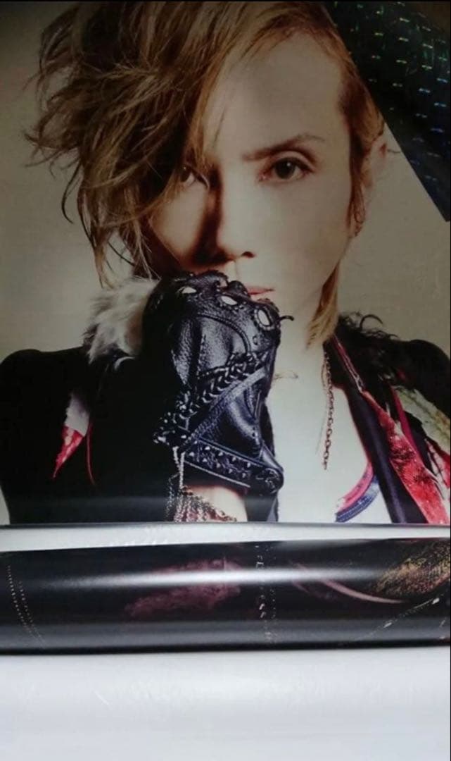 Acid Black Cherry ポスター　カレンダー　セット