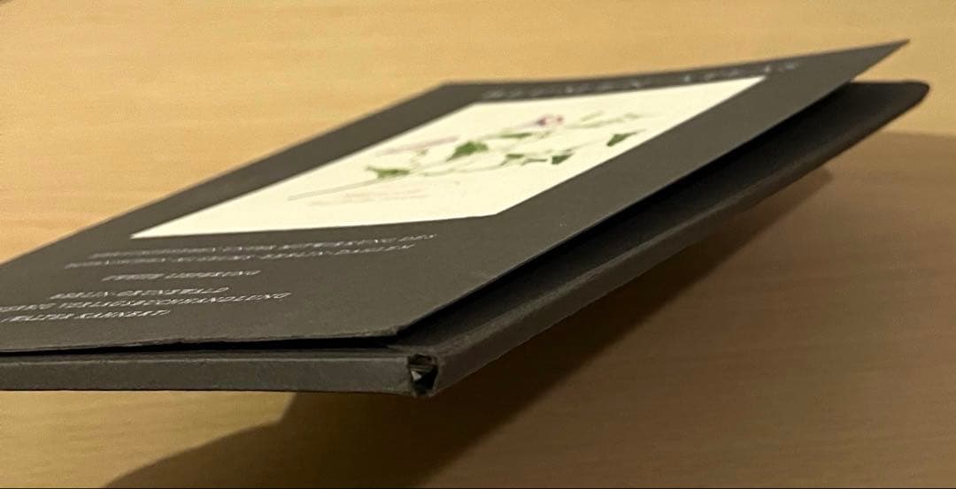 No.439ドイツ ヴィンテージ 紙もの ボタニカルアート 植物図鑑 水彩画