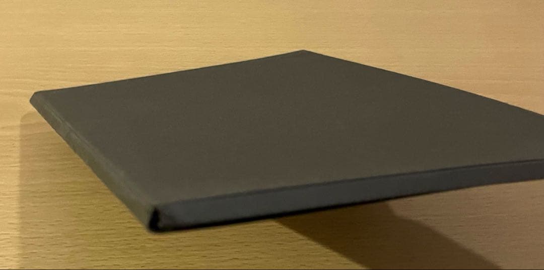 No.439ドイツ ヴィンテージ 紙もの ボタニカルアート 植物図鑑 水彩画