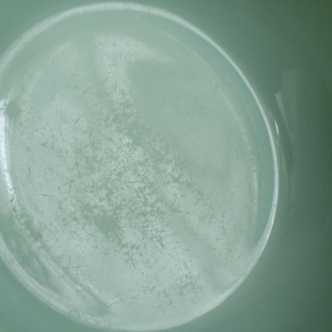 傷物SALE！ファイヤーキング RW 15ozボウル ジェダイ No.089