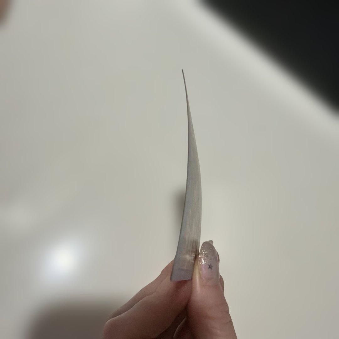 ドラゴンボール ビジュアルアドベンチャー　カードダス 65 44 1991年