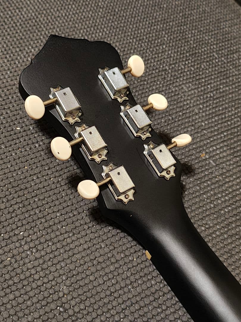 単板トップRecording King RDH-05/ソフトケース