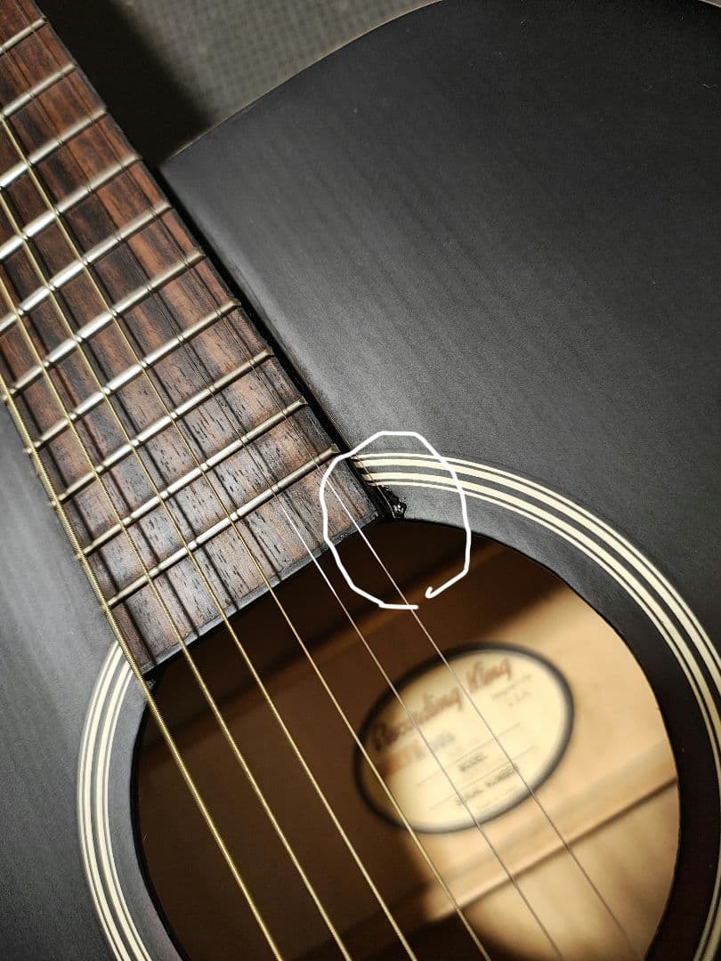 単板トップRecording King RDH-05/ソフトケース