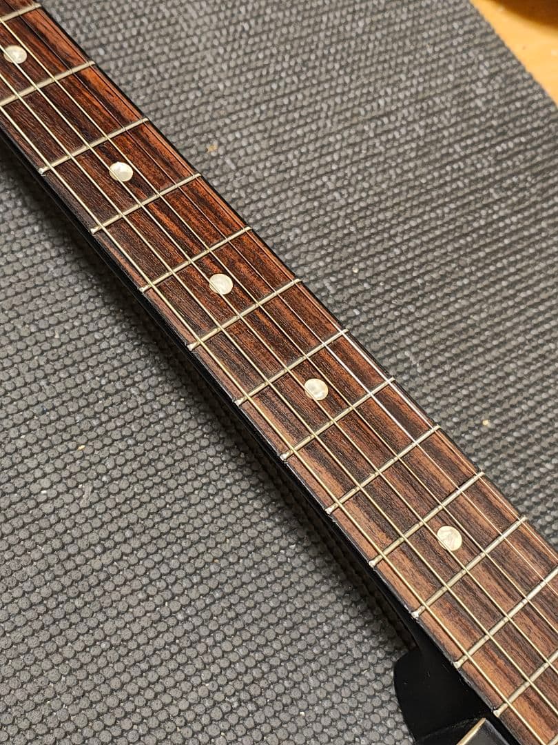 単板トップRecording King RDH-05/ソフトケース